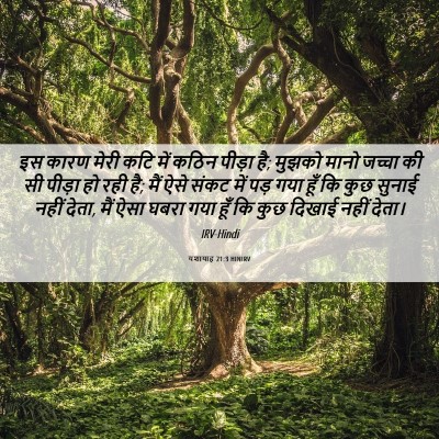 Picture 06 - यशायाह 21:3 HINIRV - इस कारण मेरी कटि - Bible Verse Picture