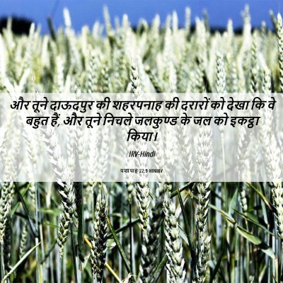 Picture 06 - यशायाह 22:9 HINIRV - और तूने दाऊदपुर की - Bible Verse Picture