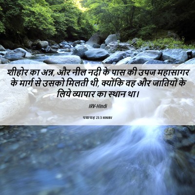 Picture 06 - यशायाह 23:3 HINIRV - शीहोर का अन्न, और - Bible Verse Picture