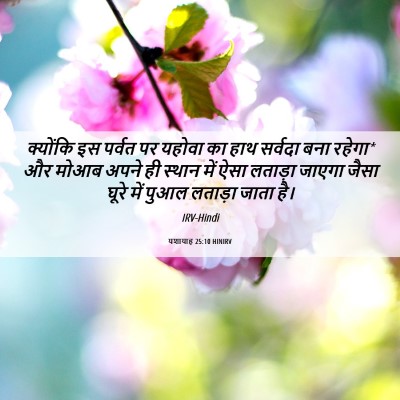 Picture 06 - यशायाह 25:10 HINIRV - क्योंकि इस पर्वत - Bible Verse Picture