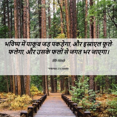 Picture 06 - यशायाह 27:6 HINIRV - भविष्य में याकूब - Bible Verse Picture