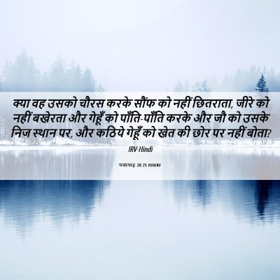 Picture 06 - यशायाह 28:25 HINIRV - क्या वह उसको चौरस - Bible Verse Picture