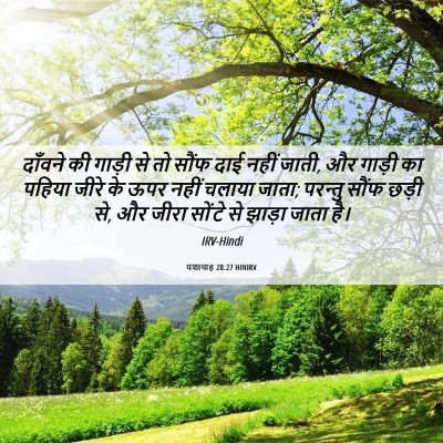 Picture 06 - यशायाह 28:27 HINIRV - दाँवने की गाड़ी से - Bible Verse Picture