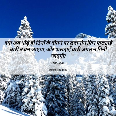 Picture 06 - यशायाह 29:17 HINIRV - क्या अब थोड़े ही - Bible Verse Picture