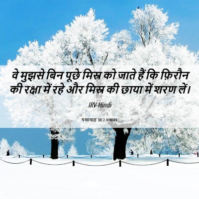 Picture 06 - यशायाह 30:2 HINIRV - वे मुझसे बिन पूछे - Bible Verse Picture