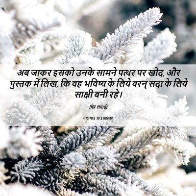 Picture 06 - यशायाह 30:8 HINIRV - अब जाकर इसको उनके - Bible Verse Picture