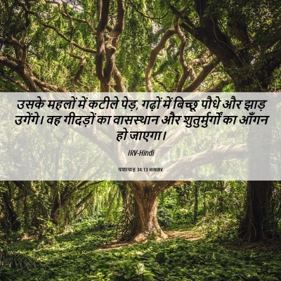 Picture 06 - यशायाह 34:13 HINIRV - उसके महलों में - Bible Verse Picture