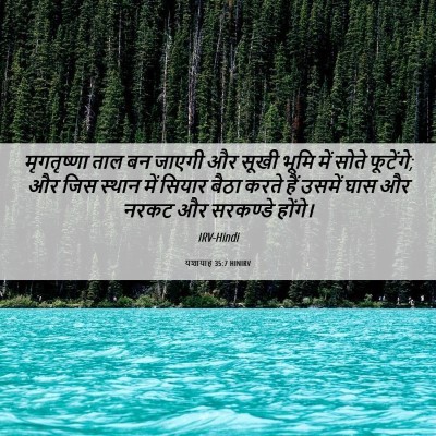 Picture 06 - यशायाह 35:7 HINIRV - मृगतृष्णा ताल बन - Bible Verse Picture