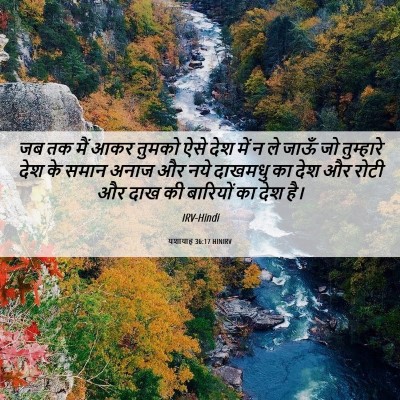 Picture 06 - यशायाह 36:17 HINIRV - जब तक मैं आकर तुमको - Bible Verse Picture