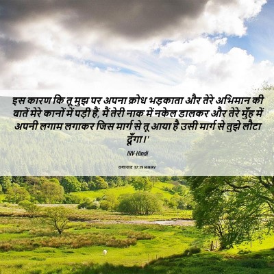 Picture 06 - यशायाह 37:29 HINIRV - इस कारण कि तू मुझ - Bible Verse Picture