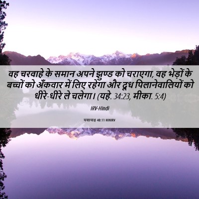 Picture 06 - यशायाह 40:11 HINIRV - वह चरवाहे के समान - Bible Verse Picture