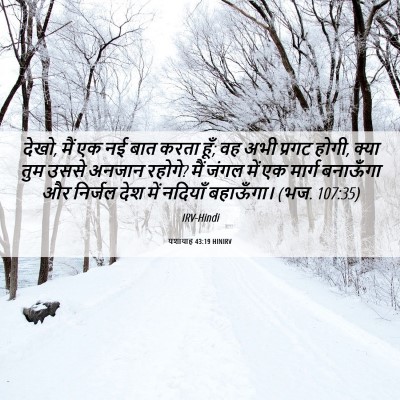Picture 06 - यशायाह 43:19 HINIRV - देखो, मैं एक नई बात - Bible Verse Picture