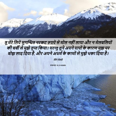 Picture 06 - यशायाह 43:24 HINIRV - तू मेरे लिये - Bible Verse Picture