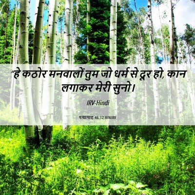 Picture 06 - यशायाह 46:12 HINIRV - “हे कठोर मनवालों - Bible Verse Picture