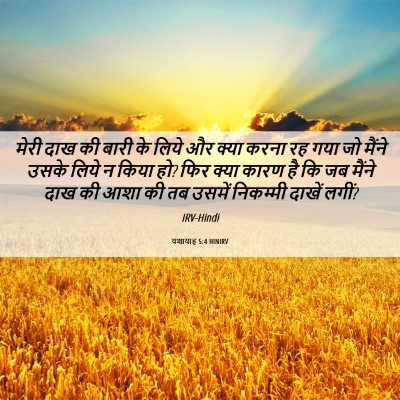 Picture 06 - यशायाह 5:4 HINIRV - मेरी दाख की बारी के - Bible Verse Picture