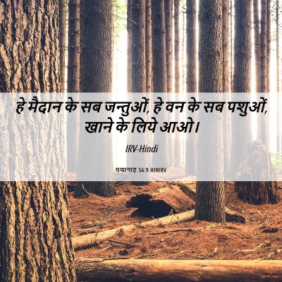 Picture 06 - यशायाह 56:9 HINIRV - हे मैदान के सब - Bible Verse Picture