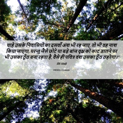 Picture 06 - यशायाह 6:13 HINIRV - चाहे उसके - Bible Verse Picture