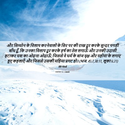 Picture 06 - यशायाह 61:3 HINIRV - और सिय्योन के - Bible Verse Picture