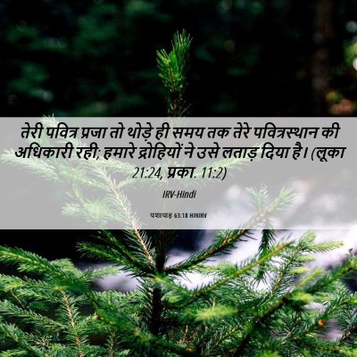 Picture 06 - यशायाह 63:18 HINIRV - तेरी पवित्र प्रजा - Bible Verse Picture