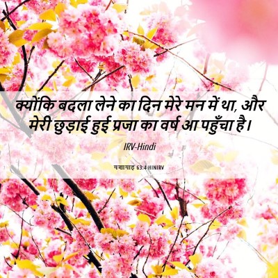 Picture 06 - यशायाह 63:4 HINIRV - क्योंकि बदला लेने - Bible Verse Picture