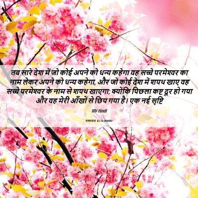 Picture 06 - यशायाह 65:16 HINIRV - तब सारे देश में जो - Bible Verse Picture