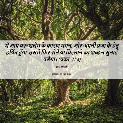 Picture 06 - यशायाह 65:19 HINIRV - मैं आप यरूशलेम के - Bible Verse Picture