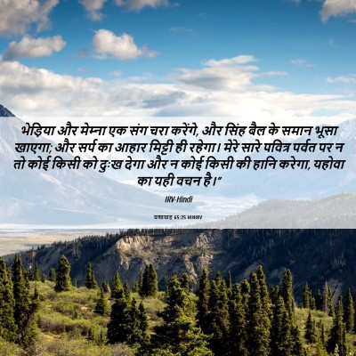 Picture 06 - यशायाह 65:25 HINIRV - भेड़िया और - Bible Verse Picture