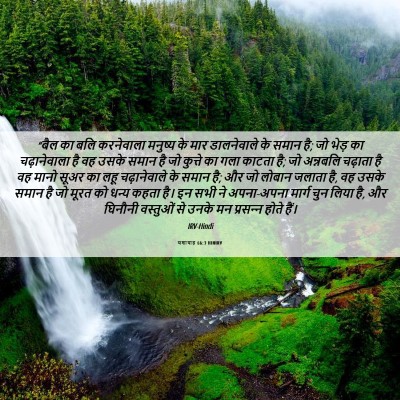Picture 06 - यशायाह 66:3 HINIRV - “बैल का बलि - Bible Verse Picture