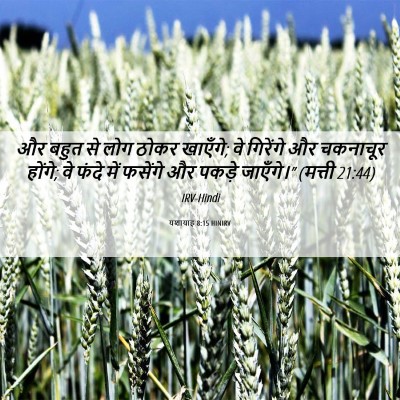 Picture 06 - यशायाह 8:15 HINIRV - और बहुत से लोग ठोकर - Bible Verse Picture