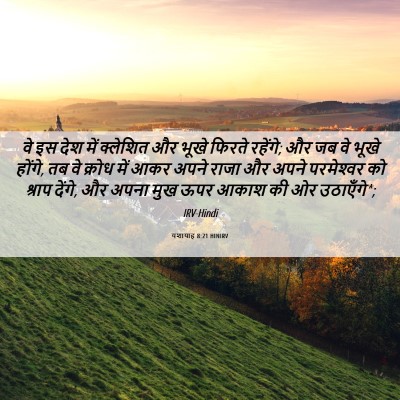Picture 06 - यशायाह 8:21 HINIRV - वे इस देश में - Bible Verse Picture