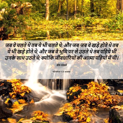 Picture 06 - यहेजकेल 1:21 HINIRV - जब वे चलते थे तब ये - Bible Verse Picture