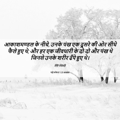 Picture 06 - यहेजकेल 1:23 HINIRV - आकाशमण्डल के नीचे, - Bible Verse Picture