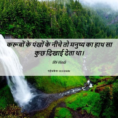 Picture 06 - यहेजकेल 10:8 HINIRV - करूबों के पंखों के - Bible Verse Picture