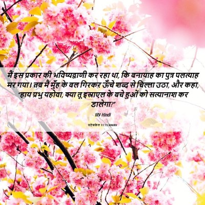 Picture 06 - यहेजकेल 11:13 HINIRV - मैं इस प्रकार की - Bible Verse Picture
