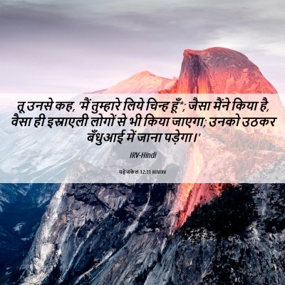 Picture 06 - यहेजकेल 12:11 HINIRV - तू उनसे कह, 'मैं - Bible Verse Picture