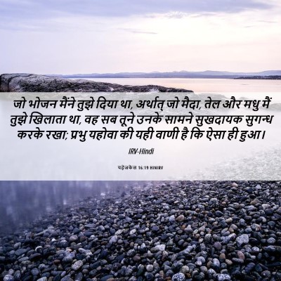 Picture 06 - यहेजकेल 16:19 HINIRV - जो भोजन मैंने तुझे - Bible Verse Picture