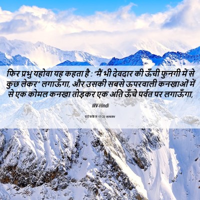 Picture 06 - यहेजकेल 17:22 HINIRV - फिर प्रभु यहोवा यह - Bible Verse Picture