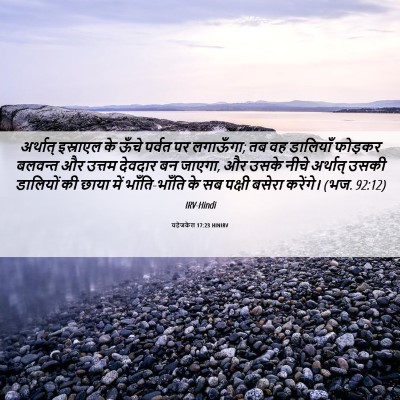 Picture 06 - यहेजकेल 17:23 HINIRV - अर्थात् इस्राएल - Bible Verse Picture
