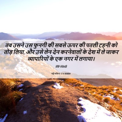 Picture 06 - यहेजकेल 17:4 HINIRV - तब उसने उस फुनगी की - Bible Verse Picture