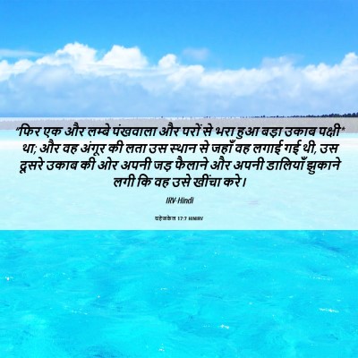 Picture 06 - यहेजकेल 17:7 HINIRV - “फिर एक और लम्बे - Bible Verse Picture