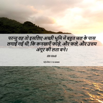 Picture 06 - यहेजकेल 17:8 HINIRV - परन्तु वह तो इसलिए - Bible Verse Picture