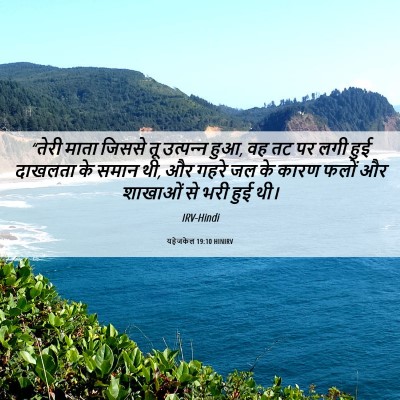 Picture 06 - यहेजकेल 19:10 HINIRV - “तेरी माता जिससे - Bible Verse Picture