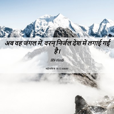 Picture 06 - यहेजकेल 19:13 HINIRV - अब वह जंगल में, - Bible Verse Picture