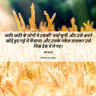 Picture 06 - यहेजकेल 19:4 HINIRV - जाति-जाति के लोगों - Bible Verse Picture