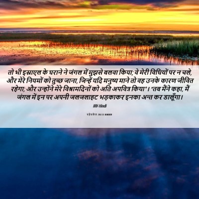 Picture 06 - यहेजकेल 20:13 HINIRV - तो भी इस्राएल के - Bible Verse Picture