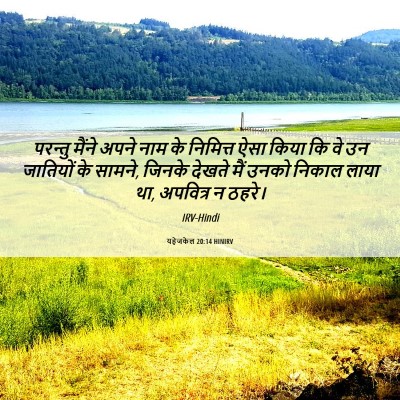 Picture 06 - यहेजकेल 20:14 HINIRV - परन्तु मैंने अपने - Bible Verse Picture