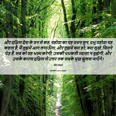 Picture 06 - यहेजकेल 20:47 HINIRV - और दक्षिण देश के वन - Bible Verse Picture