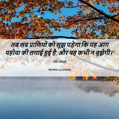 Picture 06 - यहेजकेल 20:48 HINIRV - तब सब प्राणियों को - Bible Verse Picture