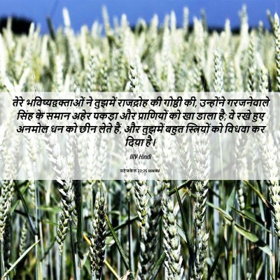 Picture 06 - यहेजकेल 22:25 HINIRV - तेरे - Bible Verse Picture