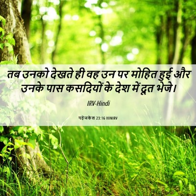 Picture 06 - यहेजकेल 23:16 HINIRV - तब उनको देखते ही वह - Bible Verse Picture